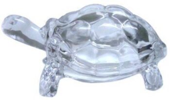 Adhunyk Pack of 6 Glass
