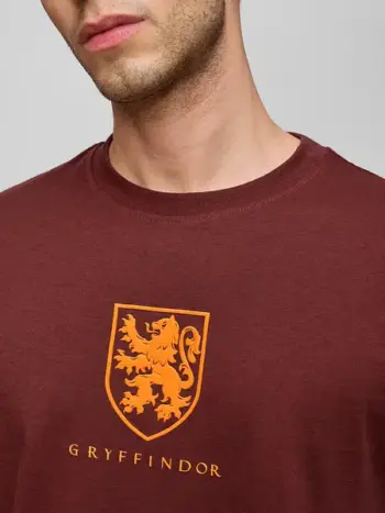 Harry Potter: Gryffindor