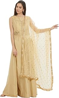 Woman's Embellished Beige Net Dupatta