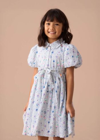 Danni Blue Printed Shirt Dress