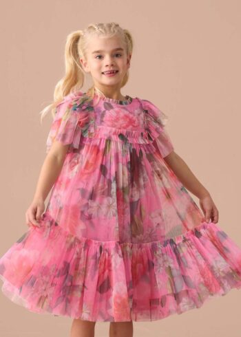 Rosa Pink Printed Tulle Dress