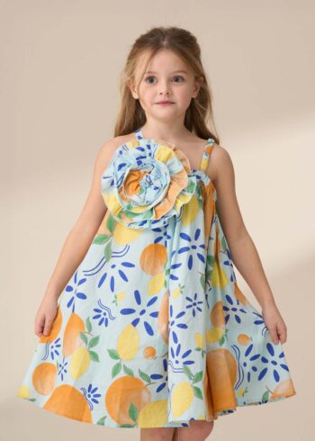 Carrie Multi Print Swing Corsage Dress