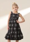 Maya Black Embroidered Woven Dress Black