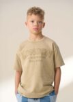 Chester Tan Embroidered Washed T Shirt Tan