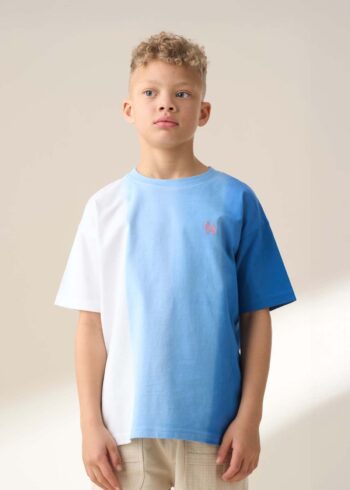 Brad Blue Ombre Washed T Shirt Blue