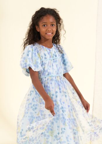 Mina Blue Printed Mesh Dress