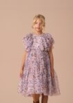 Juliana Pink Printed Frill Mesh Dress