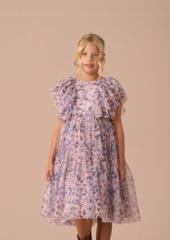 Juliana Pink Printed Frill Mesh Dress